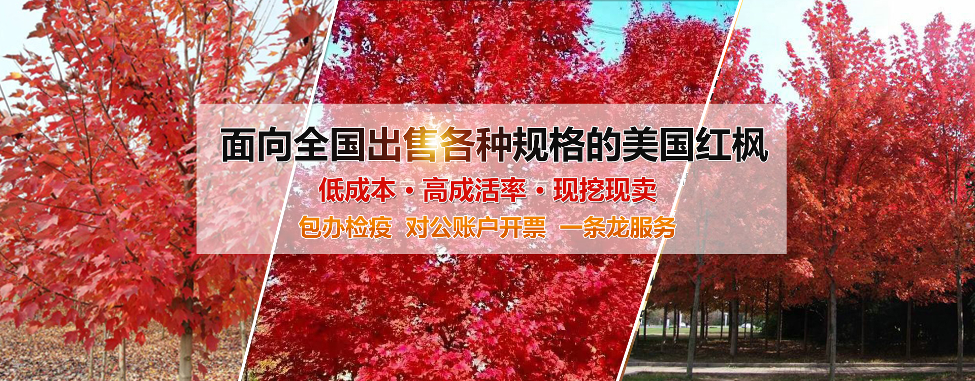 橫流風(fēng)扇